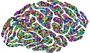 logo IA Manuel Cossio